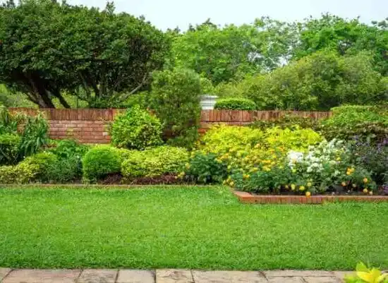 landscaping services Forest Heights